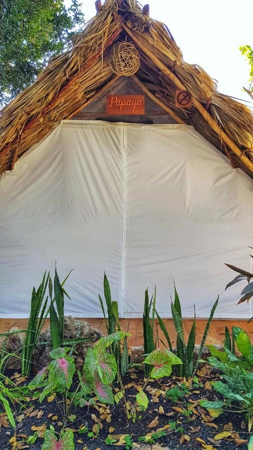 El Buho Bacalar Eco-Cabanas Hostal Ngoại thất bức ảnh
